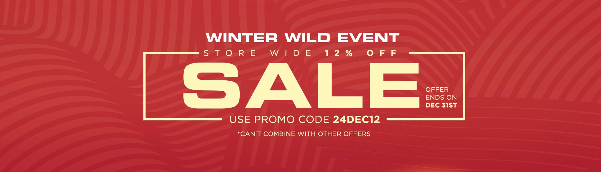 Winter Holiday Sale